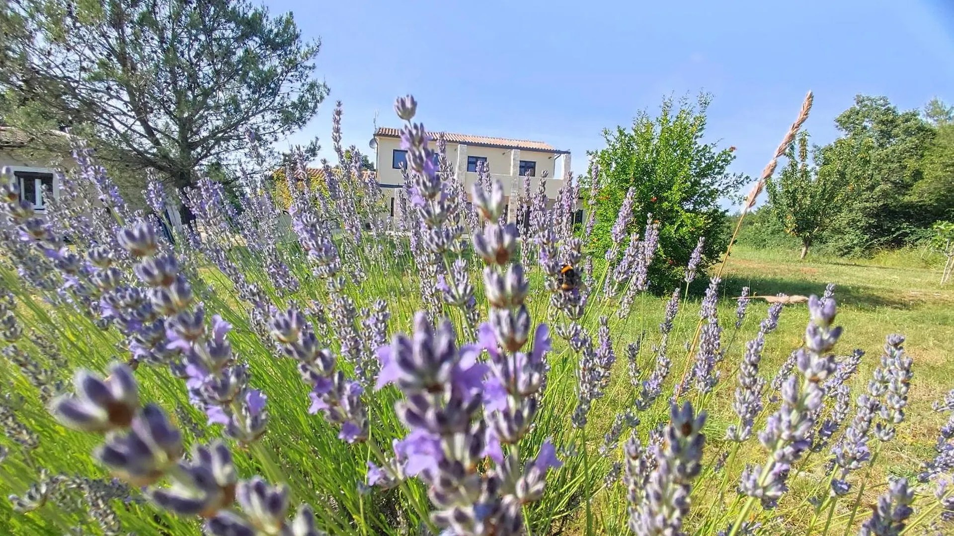 Διαμέρισμα Villa Pcela Divšići